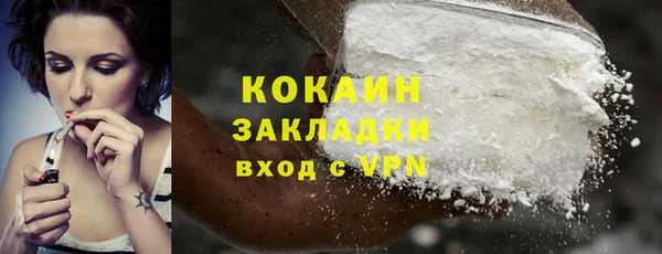 трава Инта