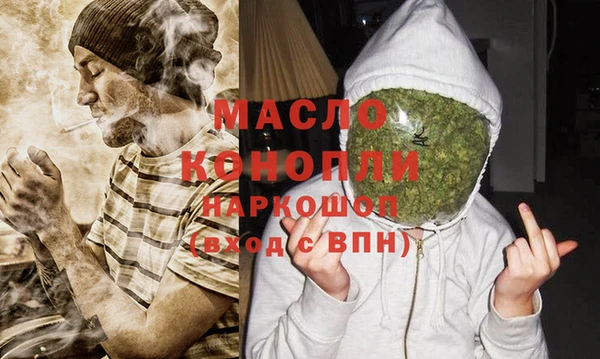 2c-b Инсар