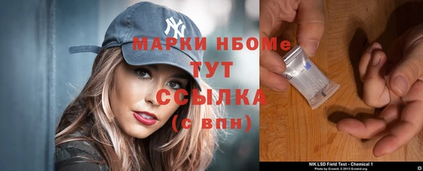 2c-b Инсар