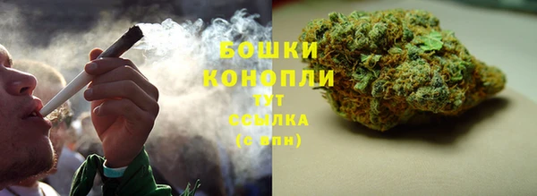 2c-b Инсар