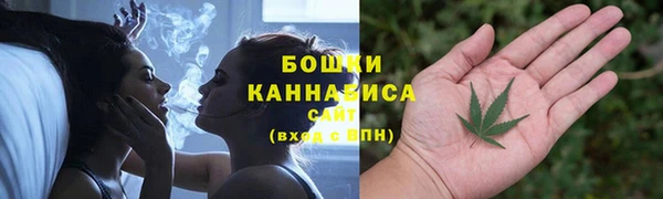 трава Инта