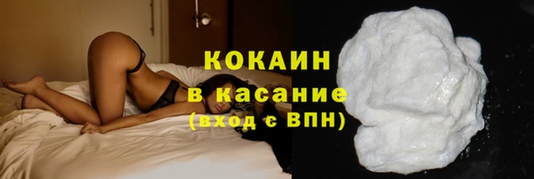 2c-b Инсар