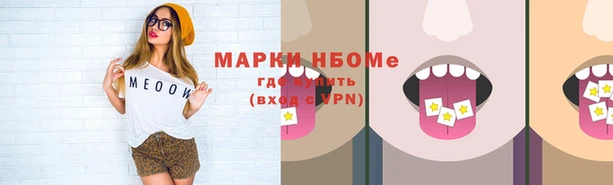2c-b Инсар
