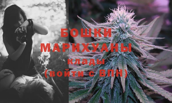 2c-b Инсар