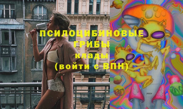 2c-b Инсар