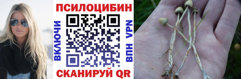 Псилоцибиновые грибы Psilocybine cubensis  Купить  Новоржев 